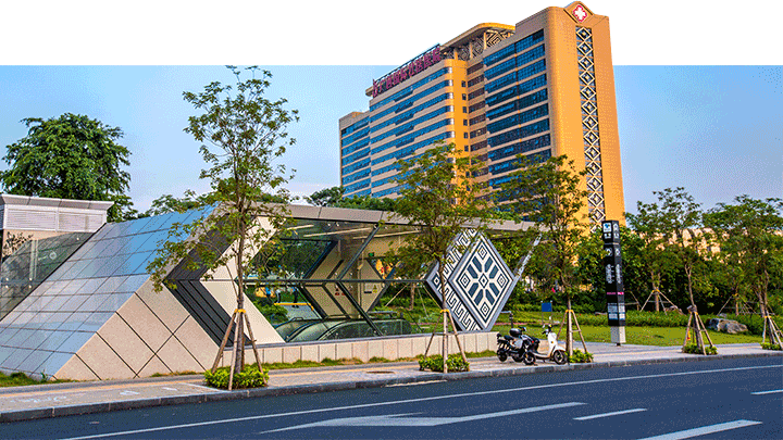 广西国际壮医医院